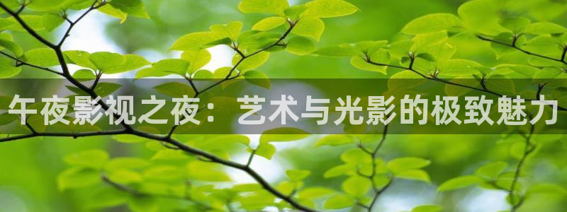 http://51视频.cc/