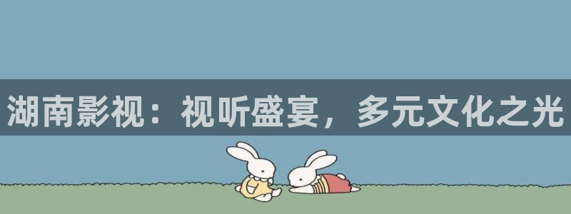 网站51视频：湖南影视：视听盛宴，多元文化之光