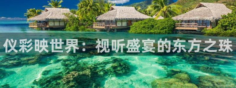 51视频网站观看：仪彩映世界：视听盛宴的东方之珠