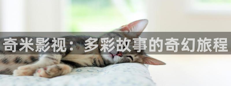 51视频免费在线播放：奇米影视：多彩故事的奇幻旅程