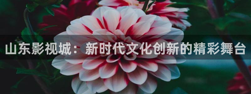 51视频在线观看：山东影视城：新时代文化创新的精彩舞台