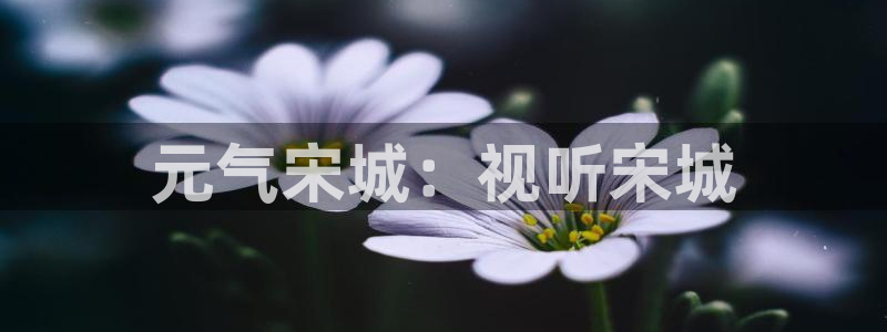 51视频.cn：元气宋城：视听宋城