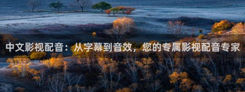 51视频免费在线播放：中文影视配音：从字幕到音效，您的专属影视配音专家