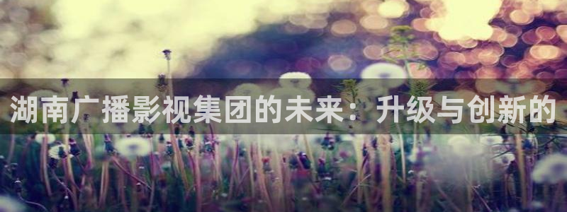 51视频精品全部免费