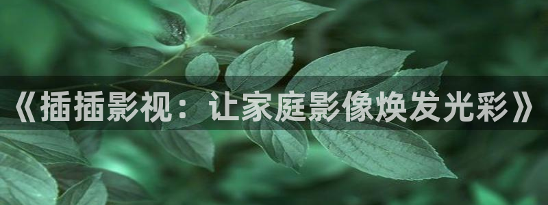 51视频啊啊啊：《插插影视：让家庭影像焕发光彩》